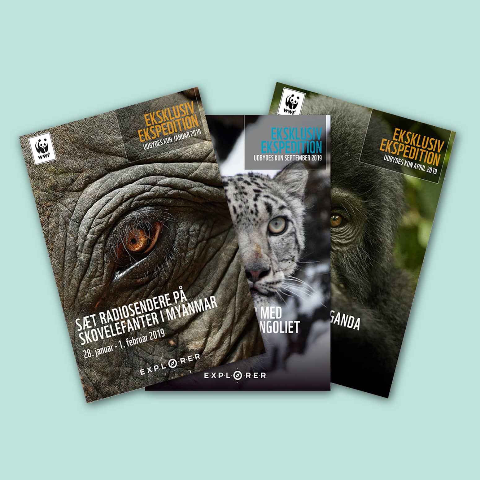 WWF brochurer